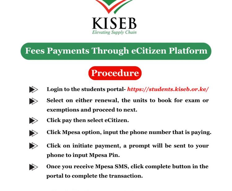 eCitizen Payment Procedure